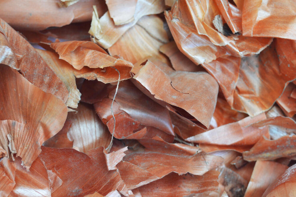 fighting onion waste